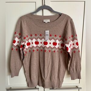 NWT Loft Outlet Apple Sweater